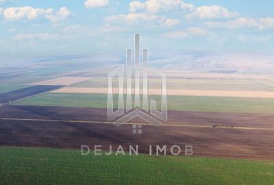 Teren agricol extravilan de 50000 mp, în Moacșa - 2