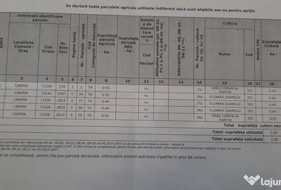 Teren de 22000 mp, în Carpen