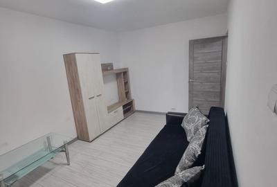 Garsonieră semidecomandată în Craiovița Nouă - 7