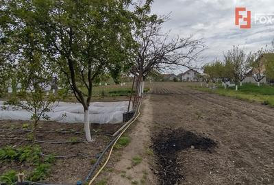 Casă individuală cu 3 camere cu Teren 2385 Mp în Sânmihaiu Român - 15