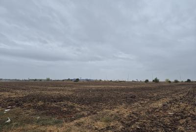 Teren agricol extravilan de 39144 mp, în Păulești - 12