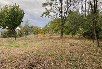 Teren Construcții intravilan de 1300 mp, în Mărăcineni - 2
