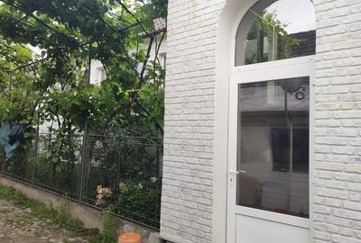 Casă individuală cu 5 camere cu Canalizare în Beriu - 3