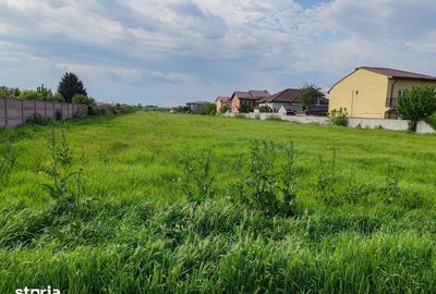 Teren de 4866 mp, în Clinceni