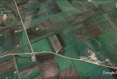 Teren agricol extravilan de 50000 mp, în Turnu - 1