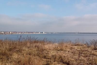 Teren Construcții intravilan de 2200 mp, în Cernica - 4