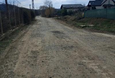 Teren de 1350 mp, în Dorobanț - 8