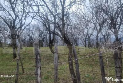 Teren în Schiulești - 3