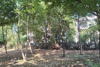 Teren de 1260 mp, în Tunari