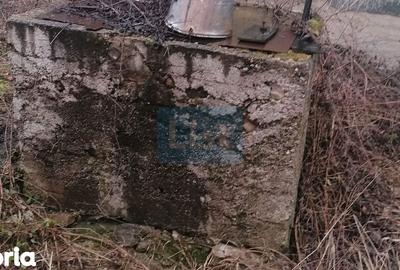 Casă cu 3 camere cu Teren 3040 Mp în Baciu - 7