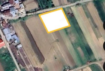 Teren de 770 mp, în Dărăști-Ilfov - 4
