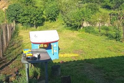 Teren de 801 mp, în Pianu - 9