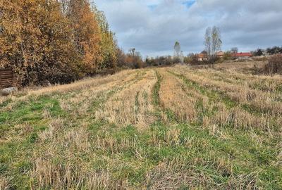 Teren de 3574 mp, în Dângău Mic - 3