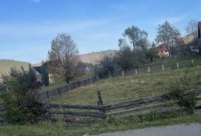 Teren de 1119 mp, în Ceahlău - 3