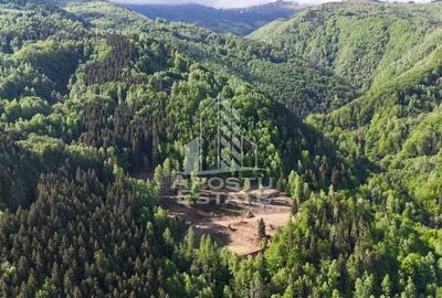 Teren de 18000 mp, în Central