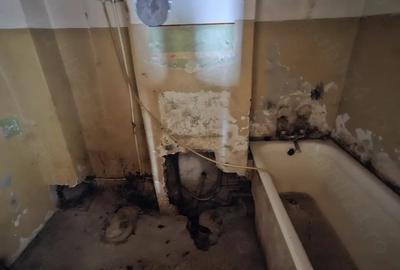 Apartament cu 2 camere decomandat în Govândari - 8