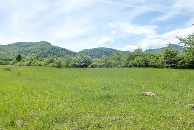 Teren Construcții intravilan de 2900 mp, în Tohănița - 1