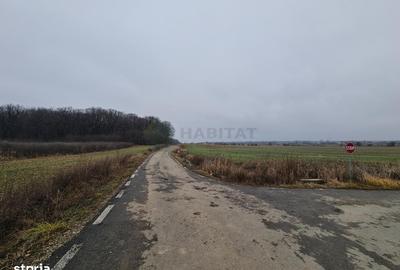Teren de 8569 mp, în Ciolpani - 7