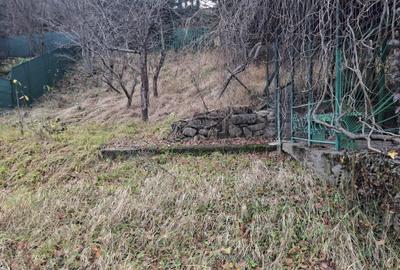 Teren Construcții intravilan de 979 mp, în Furnica - 1