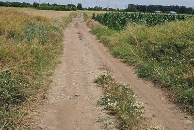 Teren Construcții intravilan de 5000 mp, în Frumușani - 6