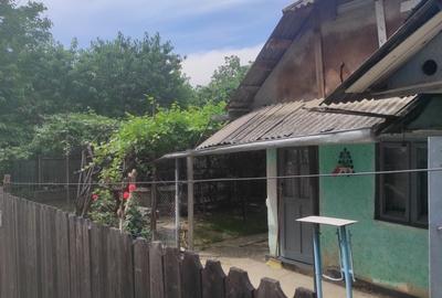 Casă cu 2 camere în Gherăiești - 2