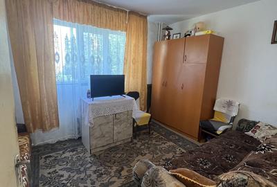Apartament cu 2 camere semidecomandat în Brazda lui Novac - 3