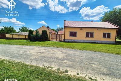 Casă cu 5 camere cu Teren 4400 Mp în Boldur - 8