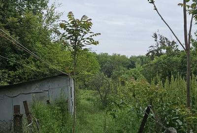 Casă cu Teren 1056 Mp în Petrăchioaia