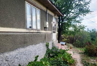 Casă individuală cu 3 camere cu Teren 1535 Mp în Zărnești - 14