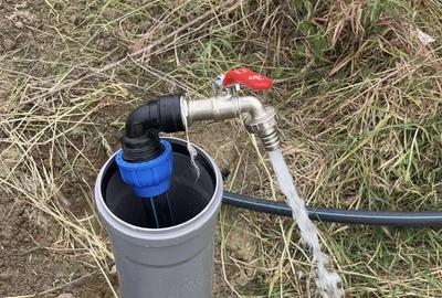 Teren de 770 mp, în Dărăști-Ilfov - 2