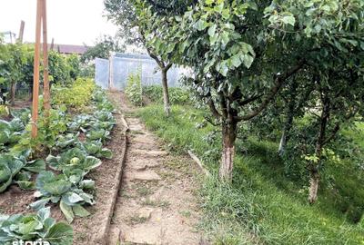 Casă cu 4 camere cu Teren 486 Mp în Șona