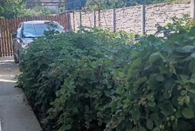 Duplex cu 4 camere cu Canalizare în Diniaș - 11