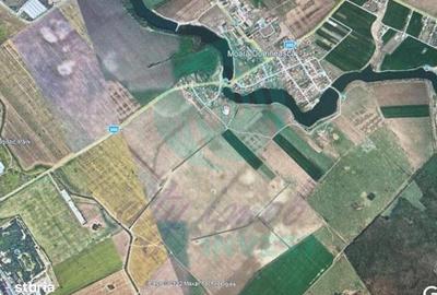 Teren de 655 mp, în Găneasa - 8