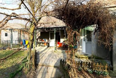 Casă cu 5 camere cu Teren 46000 Mp în Coroi - 3
