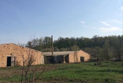Spațiu comercial, în Grozești - 3