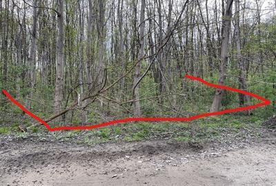 Teren intravilan de 755 mp, în Ostroveni - 6
