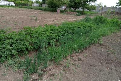 Casă individuală cu 4 camere cu Canalizare în Palazu Mare - 2