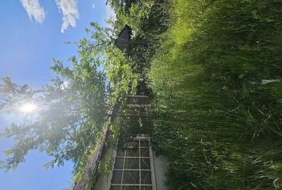 Casă cu 3 camere cu Teren 10000 Mp în Castranova