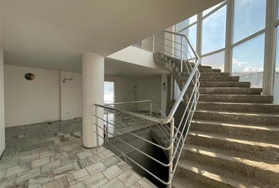 Spațiu comercial, de 450 mp, în Vest - 11