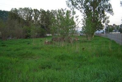 Teren Construcții intravilan de 3100 mp, în Parc Zăvoi - 3