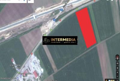 Teren Construcții extravilan de 17200 mp, în Vințu de Jos - 1