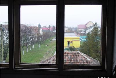 Spațiu comercial, de 450 mp, în Teremia Mare - 1