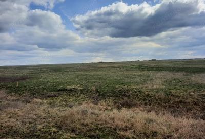 Teren de 13000 mp, în Sânmihaiu Român - 1