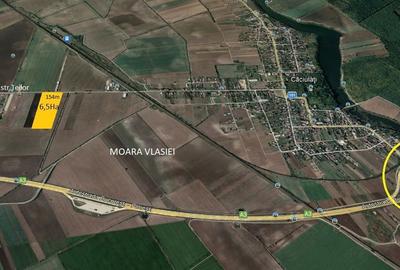Teren Construcții intravilan de 65600 mp, în Căciulați - 1