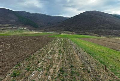Teren de 900 mp, în Poplaca