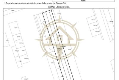 Teren Construcții intravilan de 9247 mp, în Ghermănești - 3