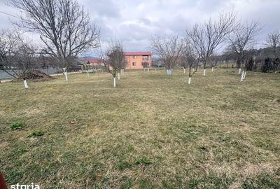 Casă cu 4 camere cu Teren 1326 Mp în Mera - 11