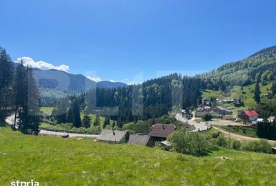 Teren de 25209 mp, în Tiha Bârgăului - 5