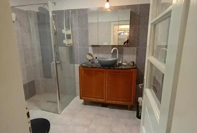 Casă cu 5 camere cu Teren 2509 Mp în Icoana - 4