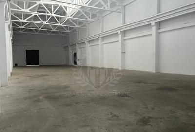 Spațiu industrial, în Mihai Bravu - 6